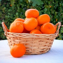 홍시 청도 반시 (초록자연) 경북 중(36-40과) 5kg, 상세페이지 참조, 상세페이지 참조