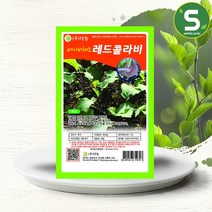 솔림텃밭몰 베이비레드콜라비씨앗 10g 베이비채소 콜라비씨앗, 단품