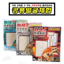 과학학습 공룡 화석 발굴(야광)