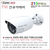 TVI FULL-HD 카메라(EGPIS-RED EGS-TVIB1224JNIR)외 추가상품, TVI  카메라 TVIB1224JNIR)