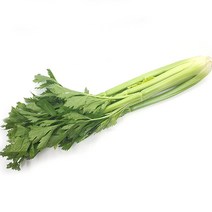 야채왕 샐러리 1단
