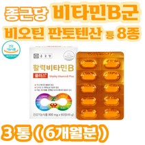 비타민b 종근당 활력 비타민B 나이아신 엽산 판토텐산 비타민 B1 B6 B2 B12 vitaminb6 수용성 비타민 에너지 3통