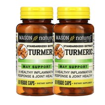 메이슨 내추럴 Mason Natural Turmeric 표준화 터메릭 추출물 60캡슐, 2팩
