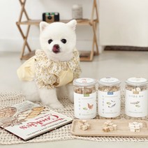 말썽쟁이여름 강아지 고양이 동결건조 야채 노니 북어 연어 치킨 트릿 간식, 노니품은 연어 파우치 30g