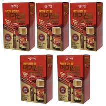 보고신약 생기엔 메가센 파워 75mL+메가 5000 20mL 세트 태반, 5개
