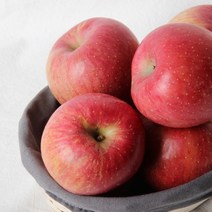 충주사과 부사사과 충주샘골농원, 1박스, 5kg 대과 [15~16개]