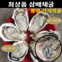 산지직송 최상급 최상품 삼배체굴 채취하여 출하 되는 통영 각굴 석화 굴 제철음식 횟감 용 생굴 2kg 3kg, 삼배체굴 3kg, 1개