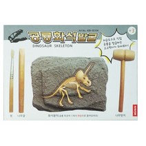 미소로 2500 공룡 화석 발굴키트 2104 156 x 32 x 110 mm, 5개