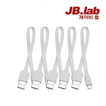 제이비랩 마이크로5핀 고속충전케이블, 30cm, 화이트, 5개입