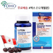 루테인 베타카로틴 아연 눈에좋은비타민 눈영양제 황반색소 눈건강영양제 비타민A E 캐나다직수입 12개월분