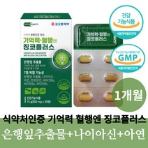 중년 여성 남성 혈행개선 기억력 영양제 식약청 부모님 판토텐산 나이아신 아연 비타민B 플라보놀배당체 혈액순환개선제 혈관에좋은영양제 식약처 고시, 30정