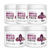 콜레우스 포스콜리 추출 분말 가루 90% 인도산, 비타그린, 5개, 200g