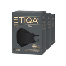 에티카 에어라이트 스탠다드 KF94 대형 검정색 8매 x 3개 총24매 보건용 마스크, KF94 대형 검정색 24매