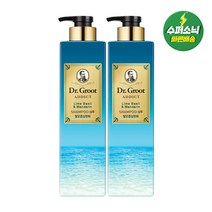 닥터그루트 애딕트 라임바질&만다린 샴푸 680ml X2개, 단품