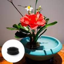 원형 꽃꽂이 생화 수반 고정 흡착식 침봉 DD-11682, 투명
