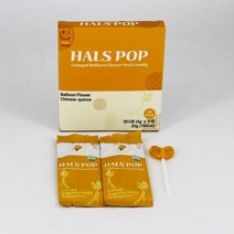 어린이목캔디 홀스팝