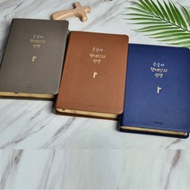 큰글자 현대인의 성경 (대 단본 색인 무지퍼 생명의말씀사) 번역 성경책, 현대인의성경(대)-네이비
