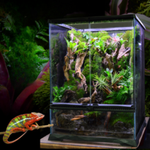 비바리움 만들기 테라리움 팔루다리움 유리 온실 케이스 식물 이끼 DIY, (45X45X60cm/하단배수)