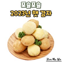 [고파남] 포슬포슬 2023년 햇 감자, 감자 대사이즈 5kg