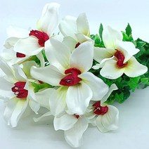 용설란 조화부쉬(색상랜덤), 상세페이지 참조