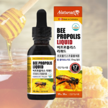 비프로폴리스 리퀴드 액상 스포이드 30ml 플라보노이드 프로폴리스스프레이