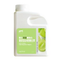 흥국 맘스 리얼 베이스 청포도&샤인머스캣 1kg 에이드, 제품＋아이스박스추가