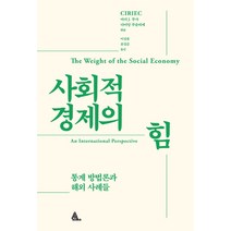 사회적 경제의 힘 : 통계 방법론과 해외 사례들:통계 방법론과 해외 사례들, 알마, 마리 J. 부샤다미앙 루슬리에
