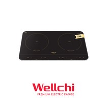 웰치 인덕션 2구 전기레인지 WEI-200P / 가로형 이동형