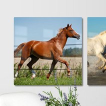 ta943-폼아크릴액자38CmX38Cm_풍수성공을기원하는말, 1.발전