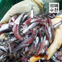 남해 자연산 생멸치 손질 멸치 조림용 2kg 급냉 산지직송