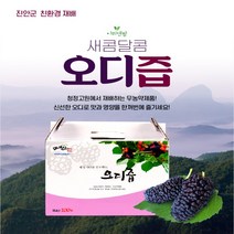 이리앤팜 오디 즙 뽕나무 열매 건강즙 원기회복 40포