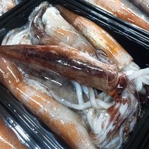 소짜 통 오징어 1kg 6-9마리 10kg 60-90마리, [급냉]통찜오징어 1kg(6~7미내외)