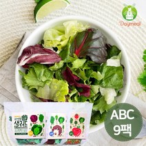 데이밀 자연을담은 샐러드 실속 혼합구성 100g x 9팩 ABC야채믹스, 드레싱없음