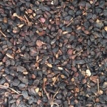 (그린내추럴) 국내산(경북 안동) 오가피열매(오가자) 300g