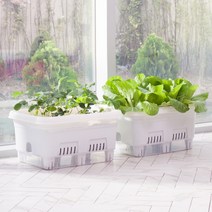 국내산 우리집 베란다 텃밭가꾸기 화분 홈가드닝, 텃밭화분 아이보리+배양토흙