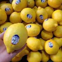 상큼한 미국 정품 레몬, 1박스, 레몬 40과