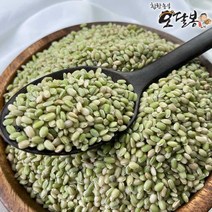 특품 2022년 햇 국산 녹미 녹진주 녹색쌀, 1개, 4kg(2kg+2kg)