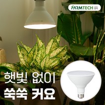 히포팜텍 식물생장등 LED 파38 확산형 램프 식물등 15W 식집사 필수템