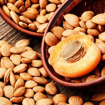 살구씨유 / 클렌징오일 만들기 추천 살구씨오일, 100ml