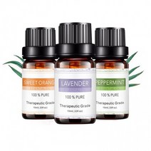 다파요 1+1 아로마오일 에센셜 오일 10ml 라벤더 유칼립투스 로즈마리 자스민 로즈 방향제, 로즈