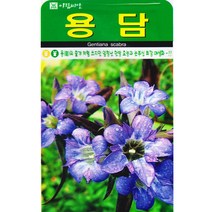 용담씨앗 1000립 약초 여러해살이 꽃씨, 단품