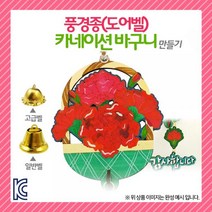 1+1 (OR) 풍경종(도어벨) 카네이션 바구니(일반), 3개