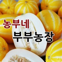 농부네 부부농장 성주참외 2kg 5kg 10kg 산지직송, 03.참외 2kg 가정용 중소과(박스포함)