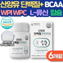 산양유단백질 류신타블렛 남자 여성 올인원 단백질 보충제 BCAA 효과 운동후 류신 효능 네덜란드 산양유 프로틴 유청단백질 루신 WPI WPC 추천 아미노산 마그네슘 칼슘 엽산 아연, 6개월