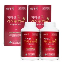 지리산홍화인 가시홍화씨 환, 250g, 2병, 2개