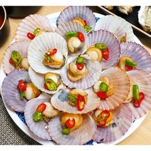 통영 겨울제철 홍가리비2kg 집에서 간편 찜구이 캠핑인기, 1개, 홍가리비3kg 3인분