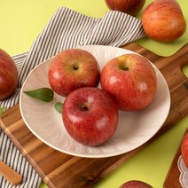 경북 산지직송 당도선별 가정용 부사사과 홍로사과 2kg 3kg 5kg 10kg, <홍로> (가정용) 3kg / 중과 / 10-14과, 1개” class=”wr-img”></a></div>
</div>
</div>
</div>
<div class=