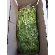 청주 밭미나리 하우스 3kg 미나리농장, 단품