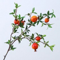 조화 생화같은 장식 나무 신가정 거실 분재 인조 꽃 사진 소품 모조 석류 과일, 공간