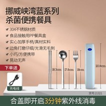 수저 살균기 숟가락 칼 휴대용 여행용 식기 세트 포크 스푼 스테인리스 식품 한 개 단일 소독 상자 케이스, E package